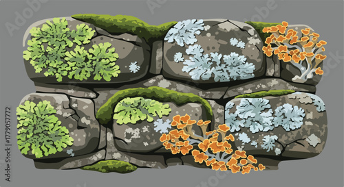 Stone wall illustration with flora