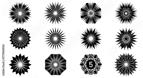 Twelve diverse abstract black starburst shapes on white in a grungy distressed style