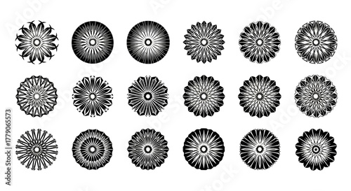 Assortment of intricately designed black and white floral pattern graphics showcasing diverse