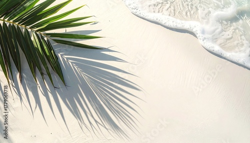 Aerial View Of Sandbanks Forming Patterns In A Turquoise Sea Surrounded By Reef With Palm Leaf Shadow On White Sand Beach