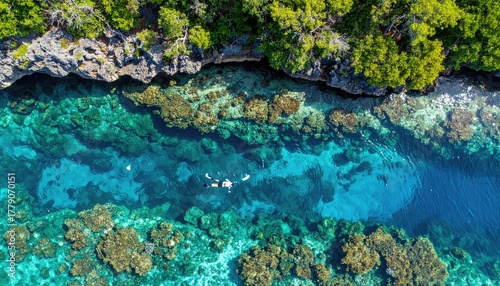 Aerial View Of Snorkelers Exploring Vibrant Coral Reefs In Crystal Clear Turquoise Ocean Water Surrounded By Lush Green Island Coastline