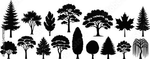 Isolated a kinds of deferent ree silhouette icon vector art with white background..