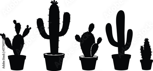Cactus silhouette in pots collection, desert plant vector set, succulent artwork, botanical illustration, arid flora design, cad drawing flat vector illustration