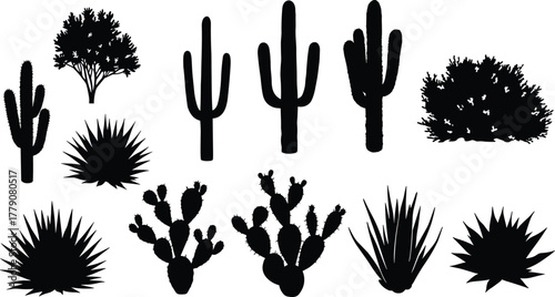 Desert plant silhouette collection, cactus and agave vector set, arid flora illustration, botanical artwork, dry landscape design, cad drawing flat vector illustration