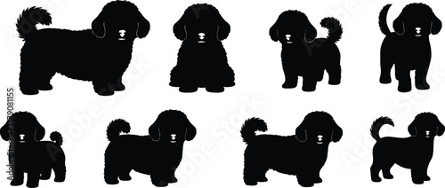 Fluffy dog silhouette collection, poodle-style pet illustration with curly fur and expressive posture, cad drawing flat vector illustration