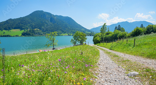 Canvastavla idyllic summer landscape lake Schliersee, wildflower meadow beside walkway