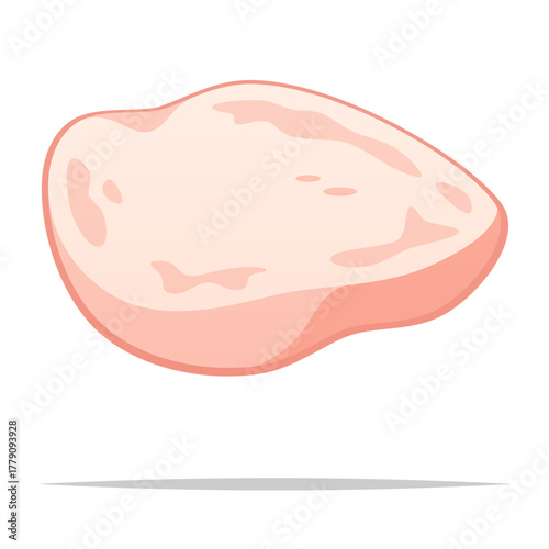 Raw turkey meat slice fillet vector isolated illustration