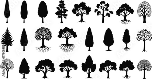 Tree silhouette collection, diverse forest nature illustration, botanical woodland elements, broadleaf and conifer trees artwork, cad drawing flat vector illustration