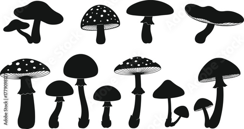 Black mushroom silhouette collection, wild fungi vector set, botanical illustration, edible and poisonous mushrooms, forest nature design, cad drawing flat vector illustration