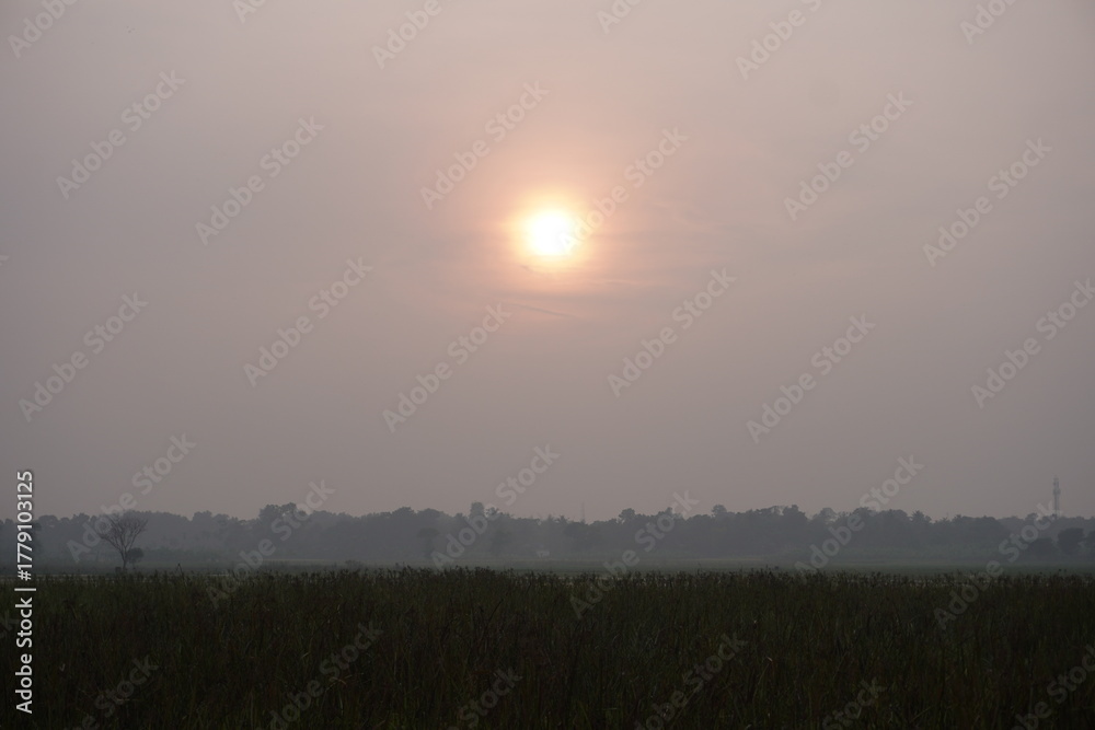 Fototapeta premium Sunrise over misty wetland field