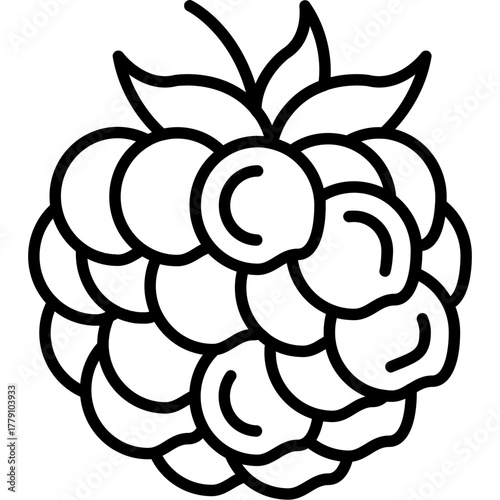 Raspberry Icon