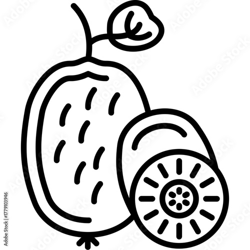 Kiwi Icon