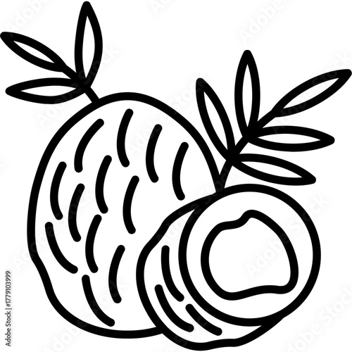 Coconut Icon
