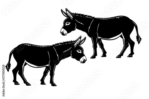 donkey vector