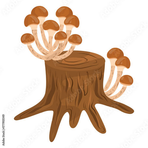 Stump with honey mushroom vector illustration. Hand drawn forest edible mushrooms on stump