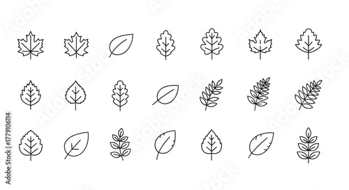 Collection of minimalist line art leaf icons, showcasing diverse botanical shapes and vein patterns, perfect for nature-themed designs, environmental concepts, and organic branding, presented as