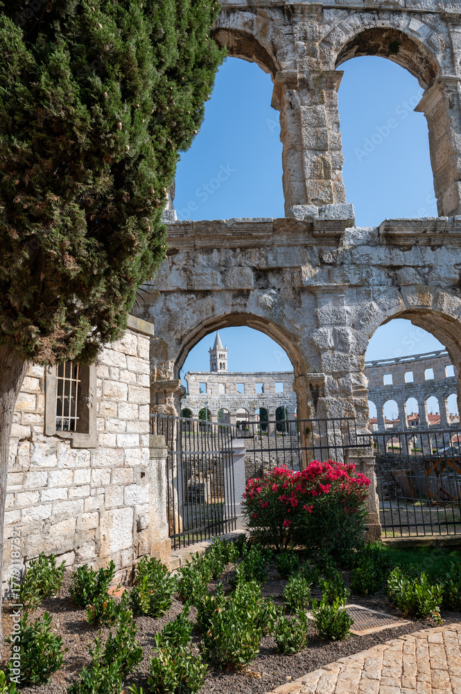 Fototapeta premium Part of the Amphitheater with flower in Pula, Croatia