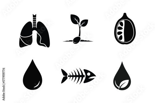 Biology, Nature, and Environmental Science Vector Icon Set