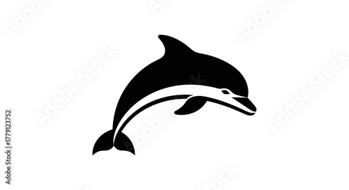 Black and white dolphin illustration on white background for design projects