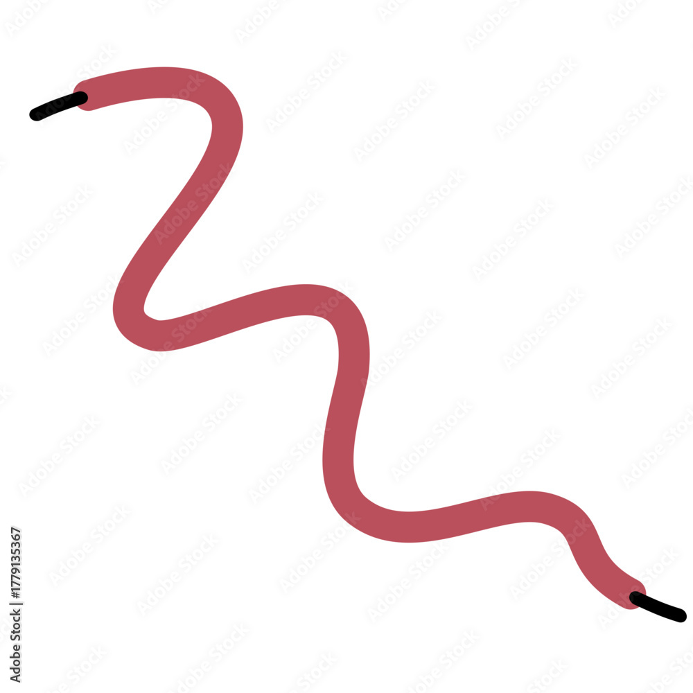 Fototapeta premium Shoelace Illustration
