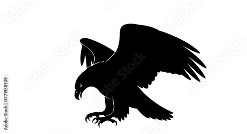 Black eagle silhouette landing