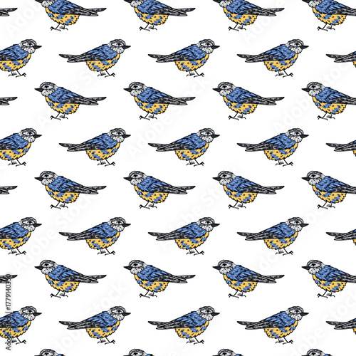 Pattern with hand-drawn bird with black outline, color illustration of fluffy yellow-blue bird. Seamless texture of bird standing sideways. isolated wildlife object, prints, textiles