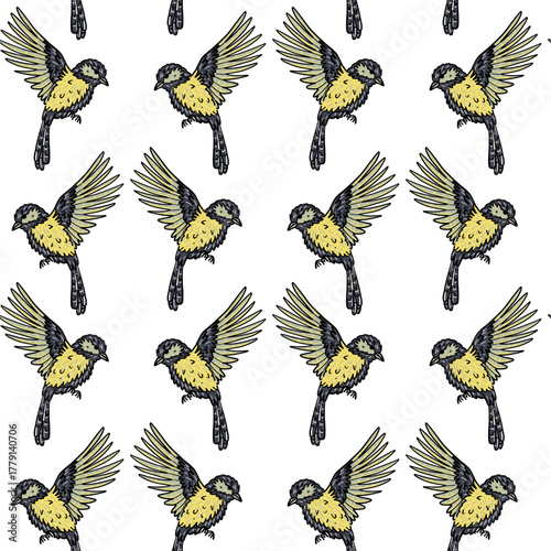 Pattern with hand-drawn birds with black outline, a color illustration of a fluffy yellow-gray bird. seamless bird texture is symmetrical. Wildlife, perfect for prints, textiles, naturalistic designs