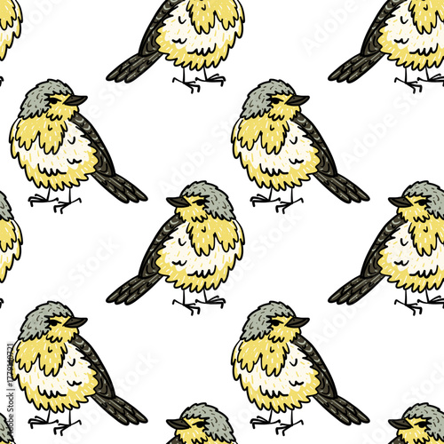 Pattern with a hand-drawn bird with black outline, color illustration of fluffy yellow bird. Standing half-turned, looking to the side. Wildlife texture, perfect, prints, textiles, naturalistic design