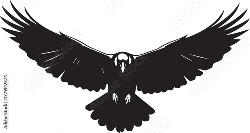 Majestic black bird with wings spread wide in flight silhouette