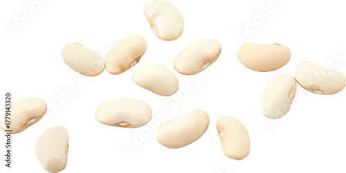 Close-up shot of several white beans scattered on a white surface, showing their shape.