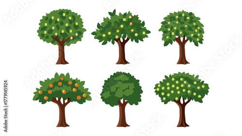 Orchard Variety: A collection of six meticulously crafted illustrations showcasing different types of orchard trees, each laden with fruit and lush greenery, ready for harvest.
