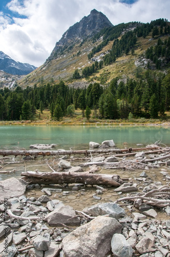 Shoreline of Upper Multinskoye lake with tree trunks and boulders in the foreground, the Altai Republic, Russia