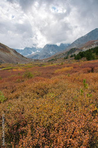 View of Akchan valley in late august with Altai mountain peaks in the background, Russian Federation