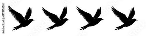 Flying birds silhouettes with extended wings in elegant motion. Simple black shapes create a calm and free atmosphere. Minimalist natural theme suitable for peaceful compositions