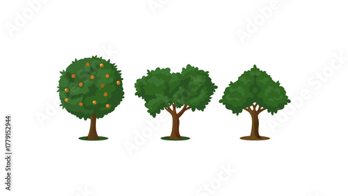 Trio of Trees: An eye-level shot captures a group of three different trees, showcasing their varying shapes and textures and green foliage, against a neutral backdrop. 
