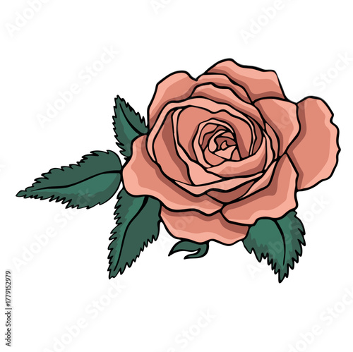 Rose flower, soft pink vector illustration