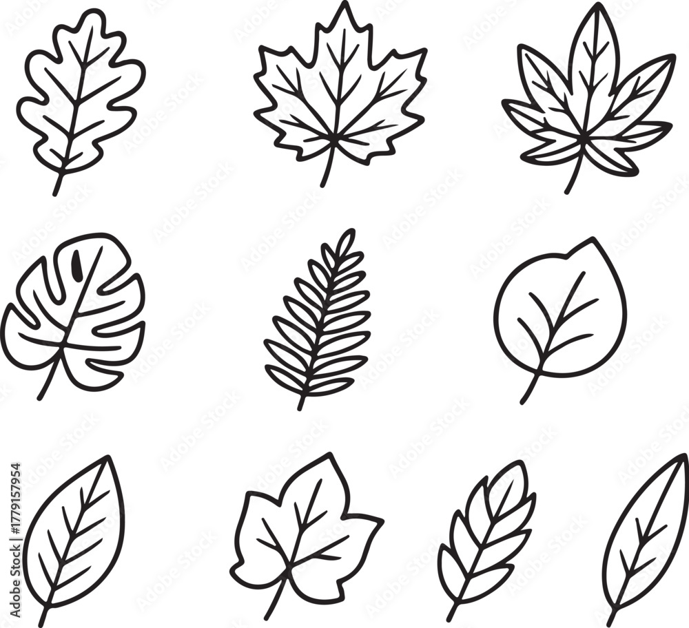 Fototapeta premium Distinct Leaf Shapes Black and White Vector Illustration.eps