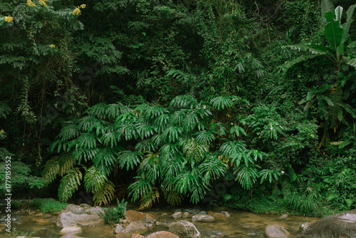 Waterfall, Chiang Rai, Thailand
