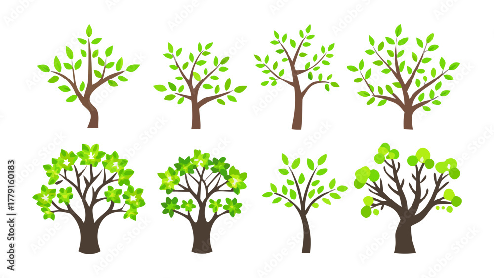 Obraz premium Array of Trees: A collection of various trees adorned with lush green leaves, showcasing the diversity and beauty of nature's arboreal forms.