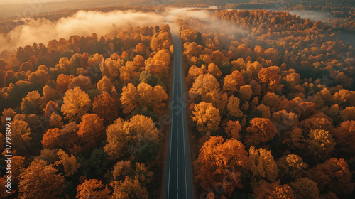Golden Autumn Road – Warm Sunset Forest Background