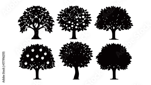 Tree silhouettes: A collection of various tree silhouettes. The image presents a range of trees for various design applications.