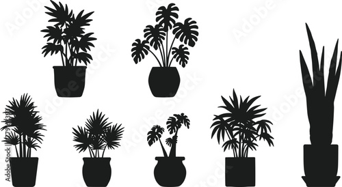 Silhouette collection of tropical indoor potted plants, modern botanical vector illustration for home decor, gardening, foliage and nature design