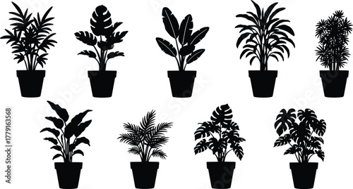 Silhouette of indoor potted plants collection, tropical houseplant vector set for home decor, nature, garden, and botanical design
