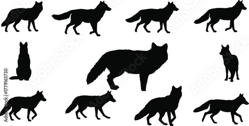 Wolf silhouette collection, wild animal vector illustration, forest predator design set, wildlife nature pack shapes for outdoor and hunting art
