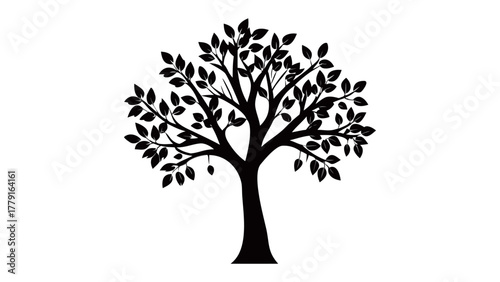Silhouette of Solitude: A serene black silhouette of a tree, its branches reaching skyward. Its leaves creating a detailed display. Symbolizing strength and resilience in the face of the endless sky.