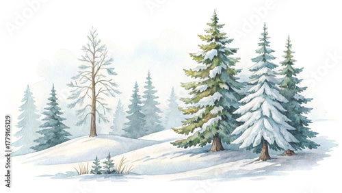 a group of snow-covered pine trees in a peaceful winter forest soft snow piles on the ground
