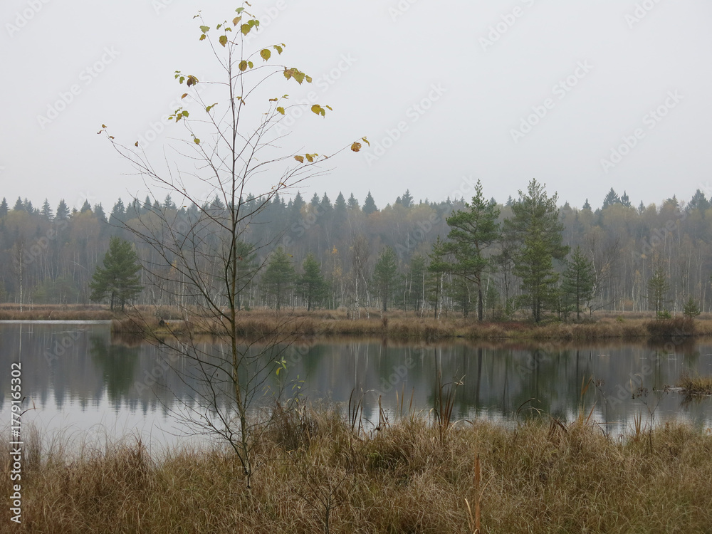 Fototapeta premium quiet lake Belskoye in the Moscow region in autumn