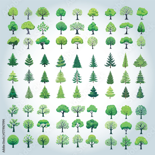 Ensemble de Silhouettes d'Arbres, de Conifères et de Sapins pour Plans de Jardins et Architecture Vus de Profil, Nature et Végétation Couleur Vert Vecteur