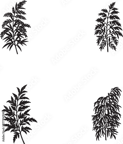 Wallpaper Mural Leafy branch icon set – black silhouette illustrations of diverse plant stems and foliage for botanical design, nature branding, and decorative visuals. Torontodigital.ca