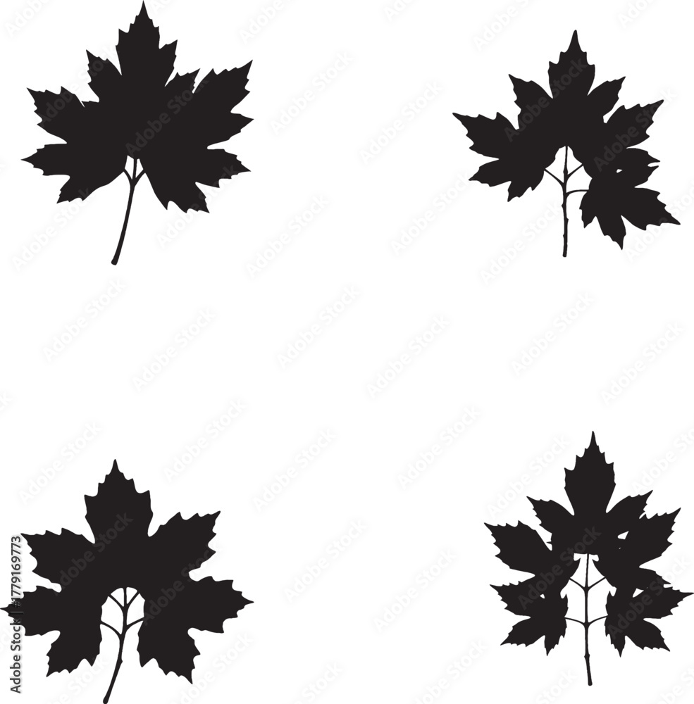 custom made wallpaper toronto digitalMaple leaf icon set – black silhouette illustrations of diverse leaf shapes and vein patterns for botanical design, seasonal branding, and nature visuals.